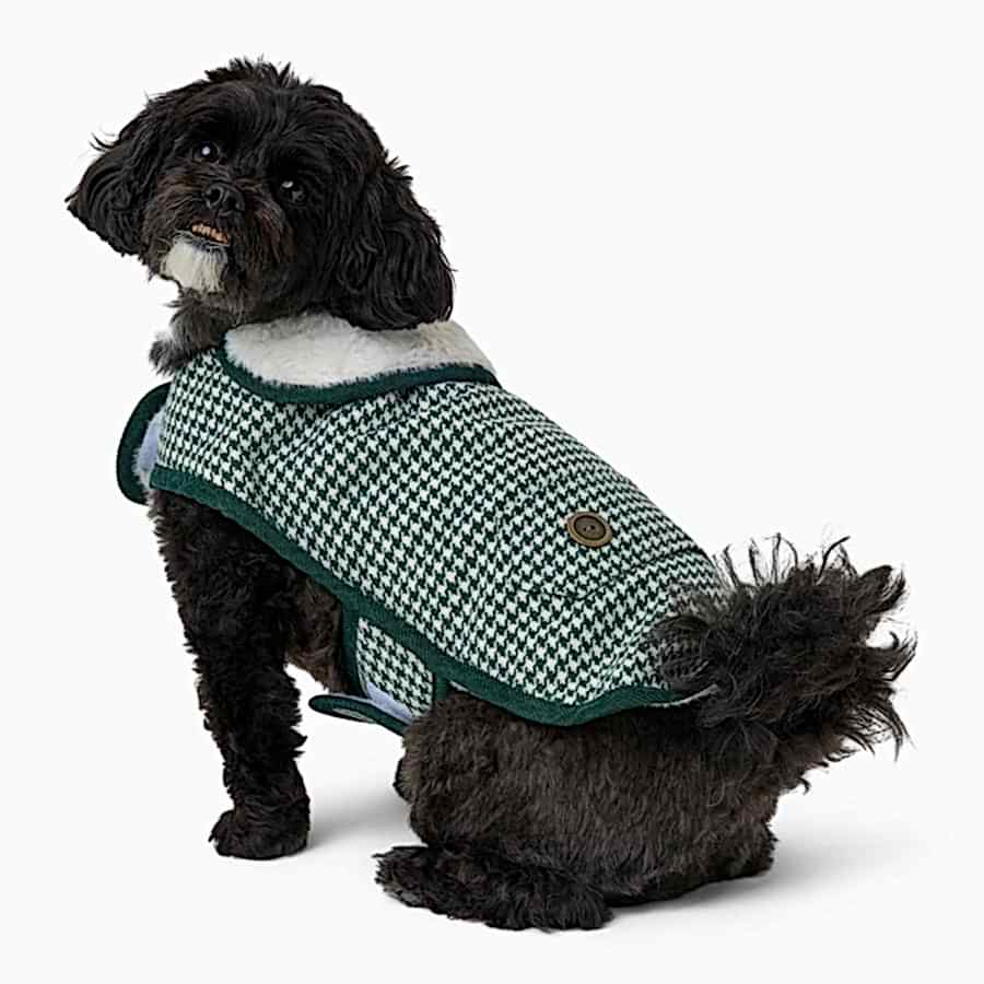 Wainwright's Houndstooth Dog Jacket Green