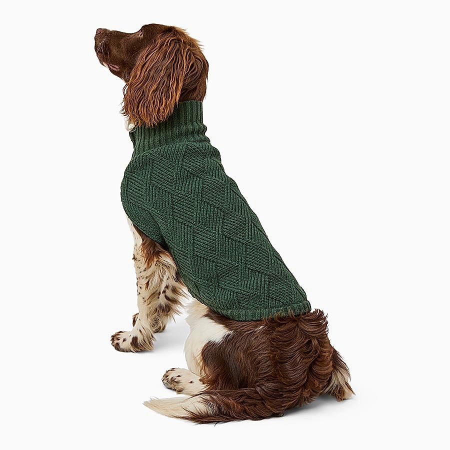 Wainwright's Knitted Jacquard Dog Jumper Green