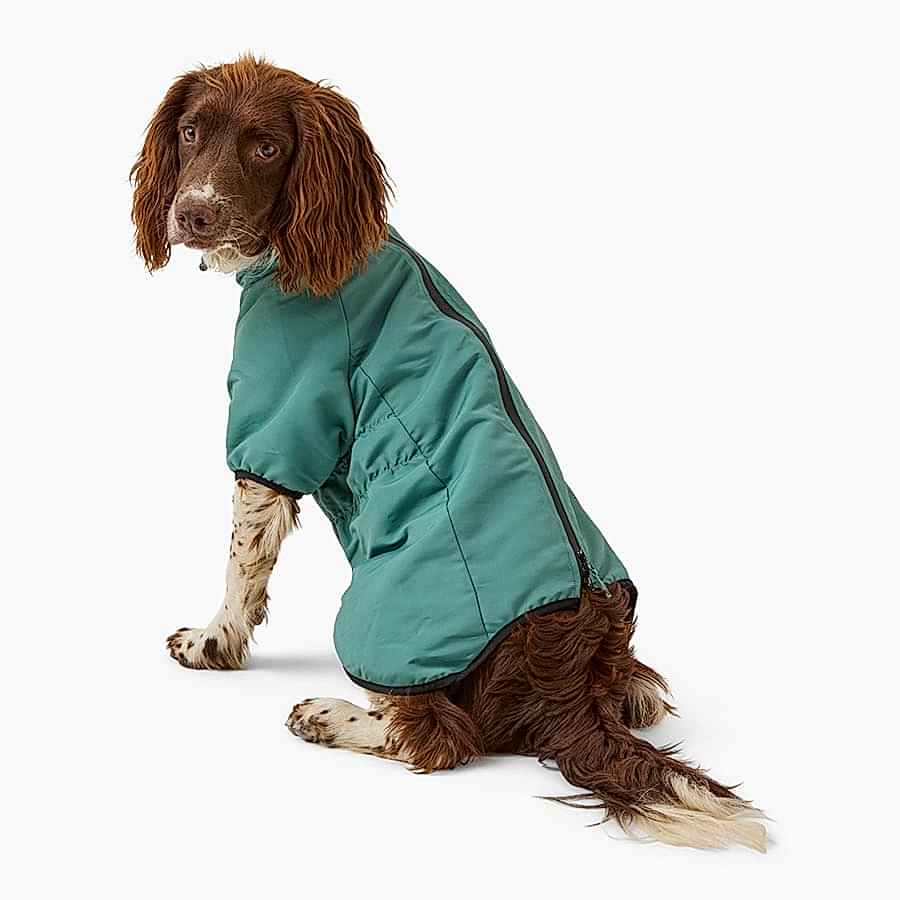 Noble Sport Luxe Nylon Raglan Dog Jacket Green