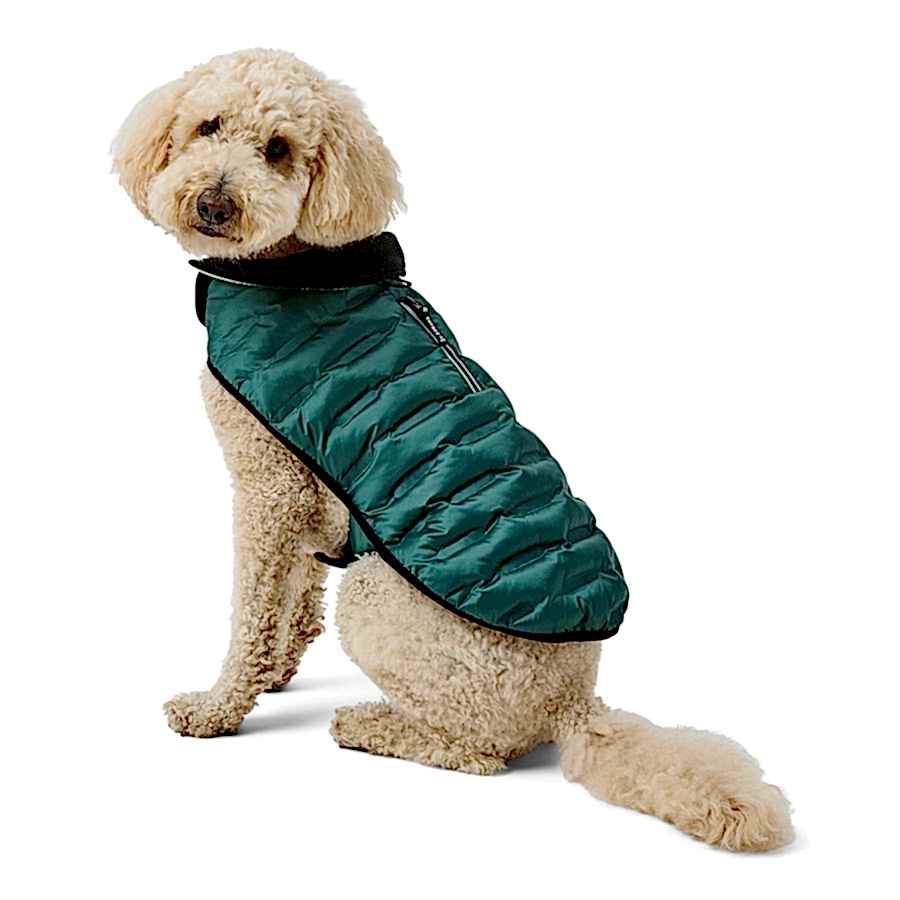 3 Peaks Shower Resistant Dog Parka Jacket Green/Ecru