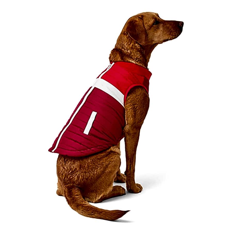 Pets at Home Quilted Colourblock Dog Bomber Jacket Red