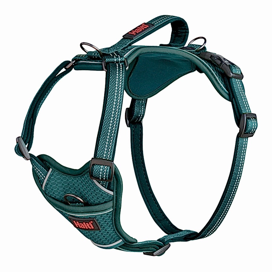 Halti Anatomy Dog Harness Teal