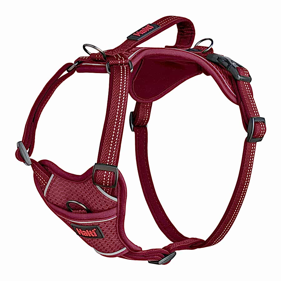 Halti Anatomy Dog Harness Magenta