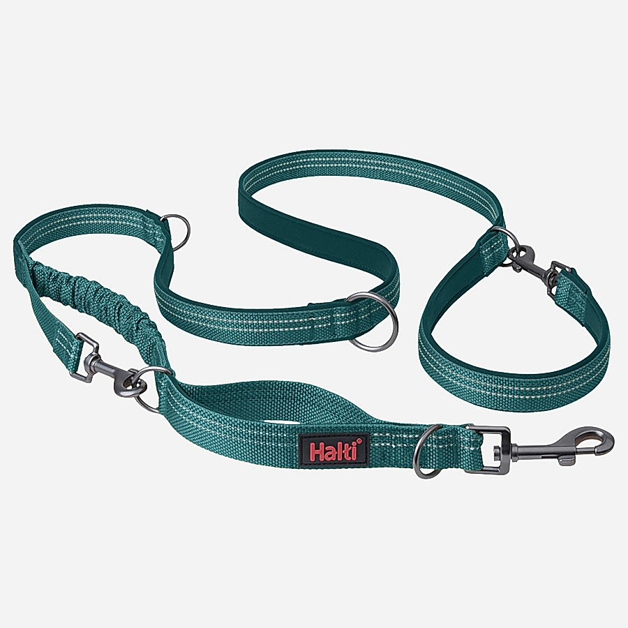 Halti Anatomy Dog Multi Lead Teal