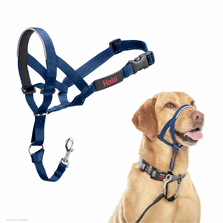 Halti Dog Training Headcollar Cobalt Blue