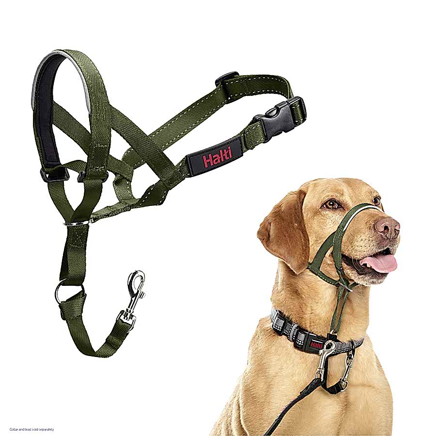 Halti Dog Training Headcollar Forest Green