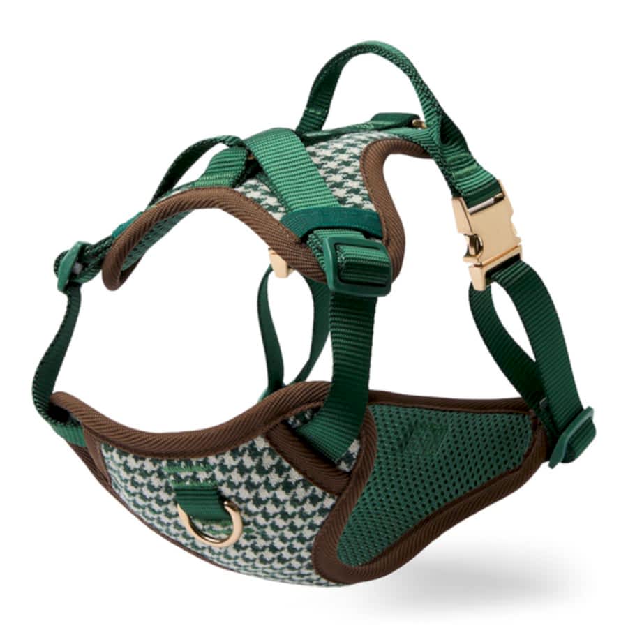 Wainwright's Christmas Houndstooth Dog Harness Green