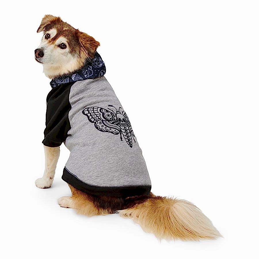 Pets Loves x Bad Monday Flash Art Raglan Dog Hoodie