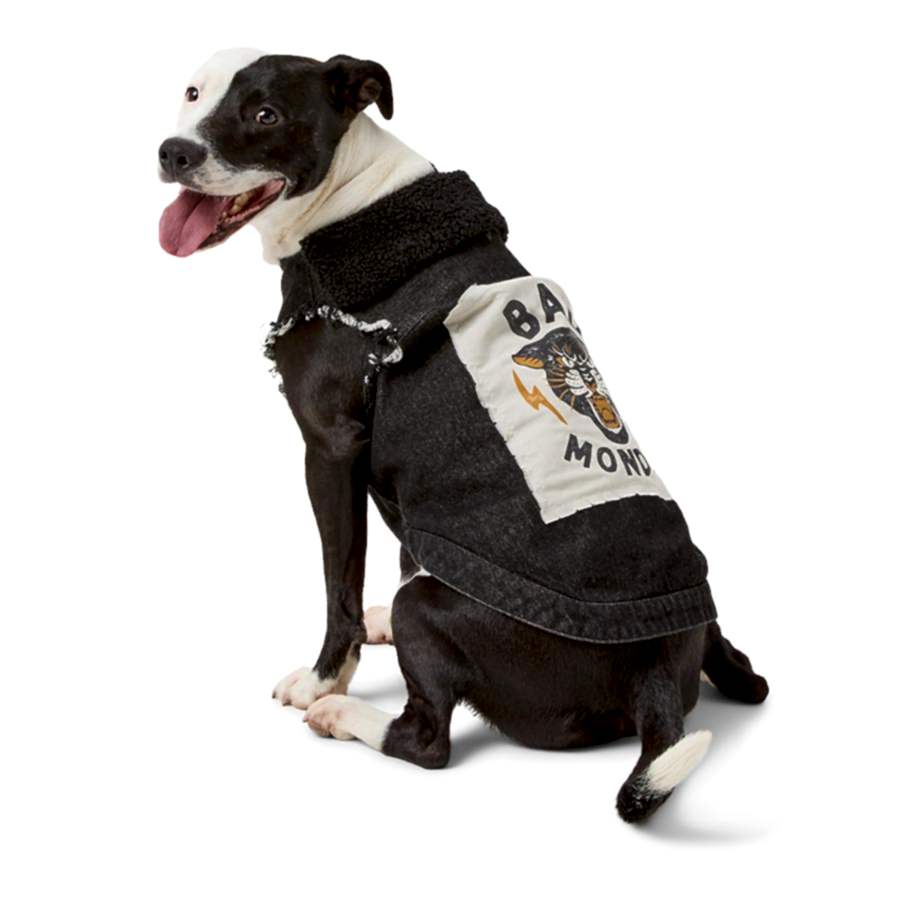 Pets Loves x Bad Monday Denim Dog Jacket