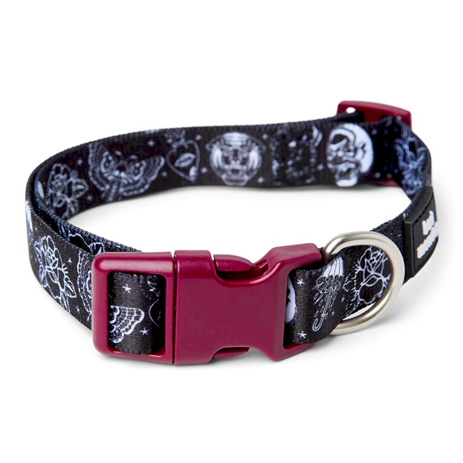 Pets Loves x Bad Monday Flash Art Dog Collar