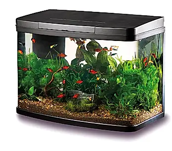 Now £75 Love Fish Panorama 40L Tank